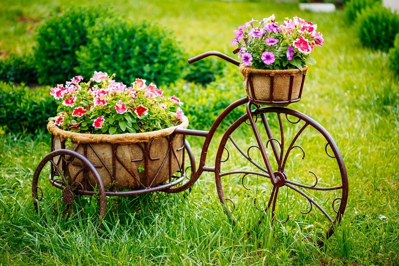 flowers  / extraordinary flowers flowers  / favorite flowers