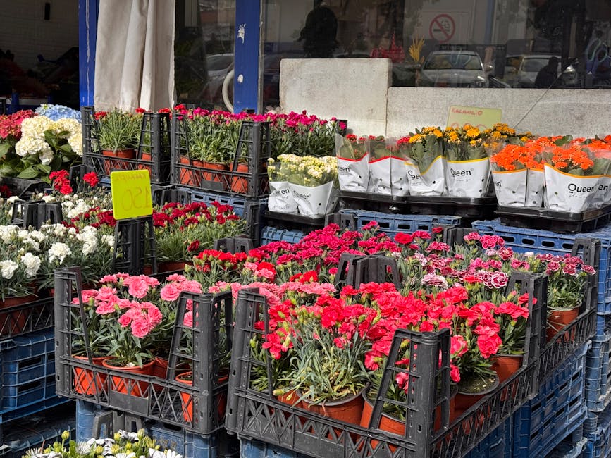A display of potted flowering plants arranged in black plastic crates outside a flower shop. The flowers include pink, red, white, yellow, and orange varieties, with some in white papery packaging lab